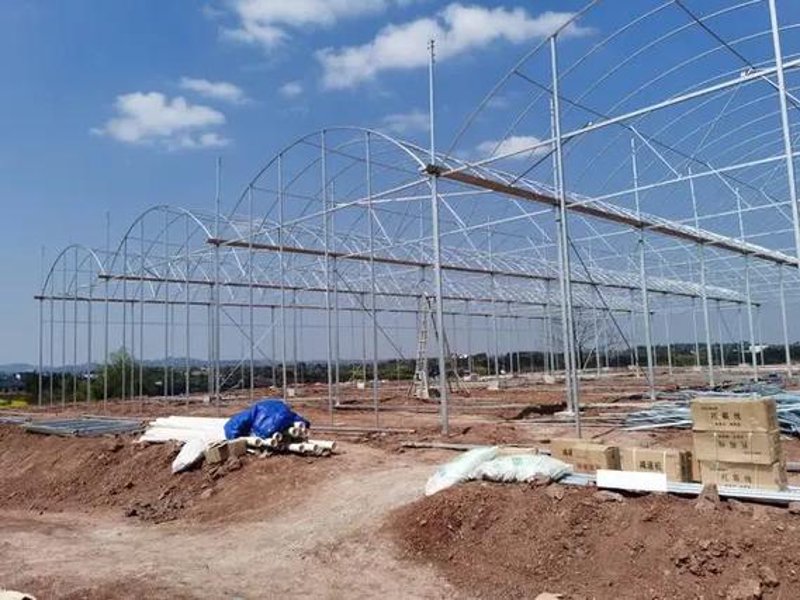 大棚建设:现代农业中的重要推手